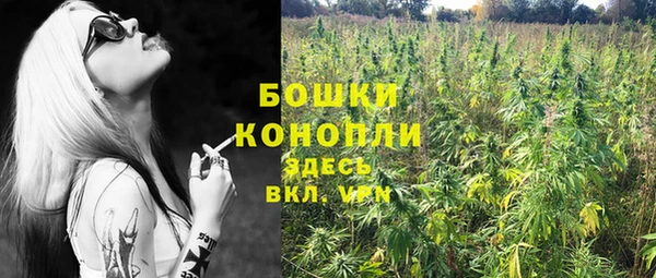 сатива Армянск