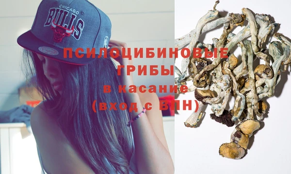 прущая мука Аркадак