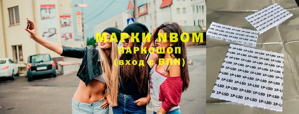 сатива Армянск