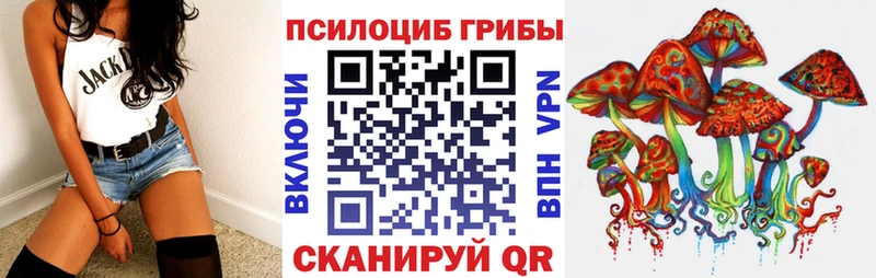 Галлюциногенные грибы Psilocybine cubensis  Новое Девяткино 